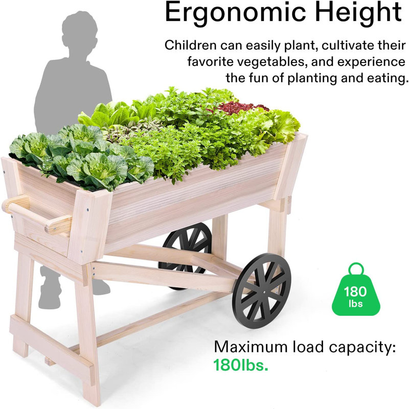VIVOSUN Wheelbarrow Planter with Storage Shelf and Protective Liner